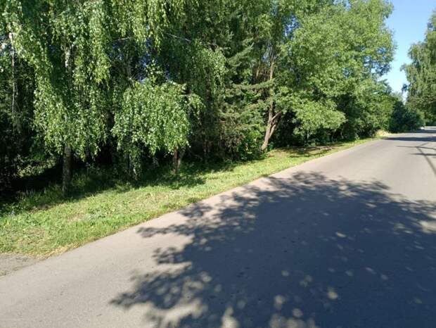 Коммунальные службы покосили траву в Бурцеве
