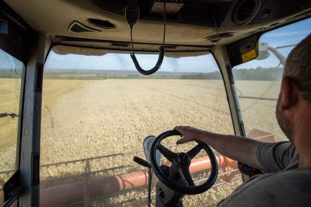 В Тульской области медианная зарплата для аграриев в 2025 году составила 96,2 тысячи рублей