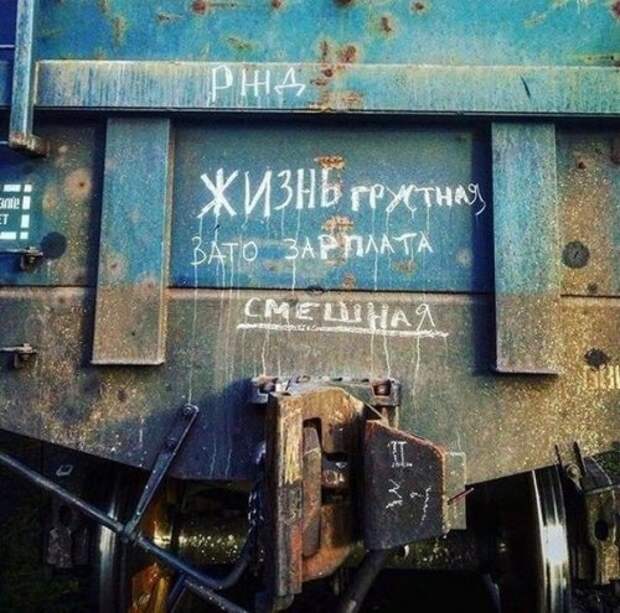 Смешные вывески, объявления и реклама (26 фото)