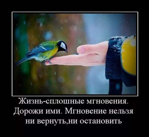 Прикольные демотиваторы с надписями. Подборка chert-poberi-dem-chert-poberi-dem-36120111072020-7 картинка chert-poberi-dem-36120111072020-7