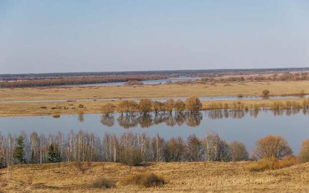 270 выше нулевой отметки: Ока выросла еще на 32 см к утру 29 марта