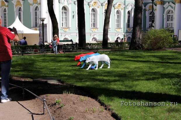 Бродя по Санкт-Петербургу Петроград, ленинград, питер, санкт-петербург