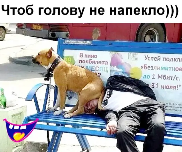 Прикольные картинки и мемы - хороших выходных