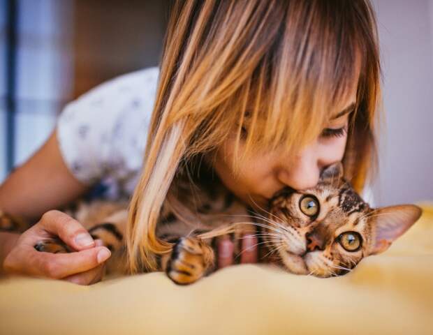Подтверждено – кошки укрепляют наш иммунитет и делают нас лучше.