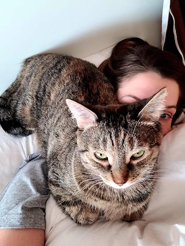 Котики, которые очень плохо себя вели