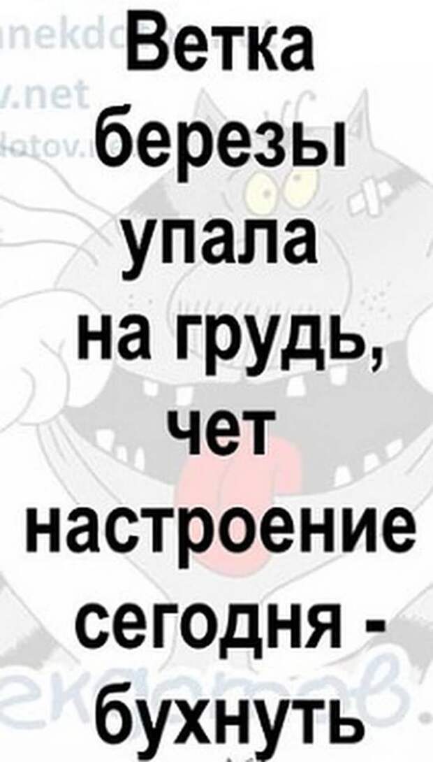 Не понимаю, почему бабы решили, что жёлтые тюльпаны - вестники разлуки?...