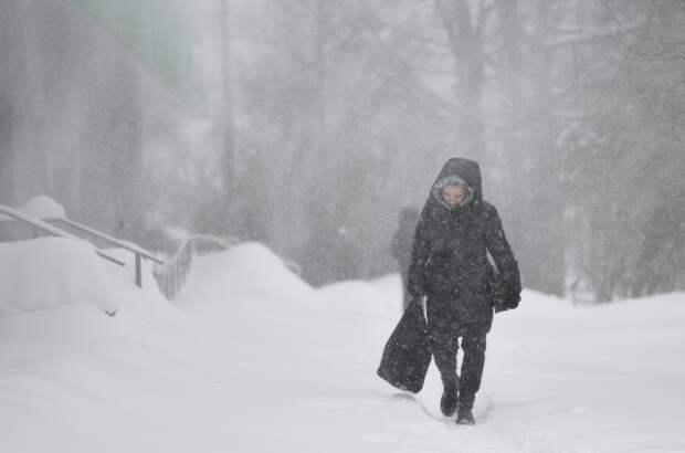 Подмосковье выполнило половину месячной нормы по осадкам за сутки