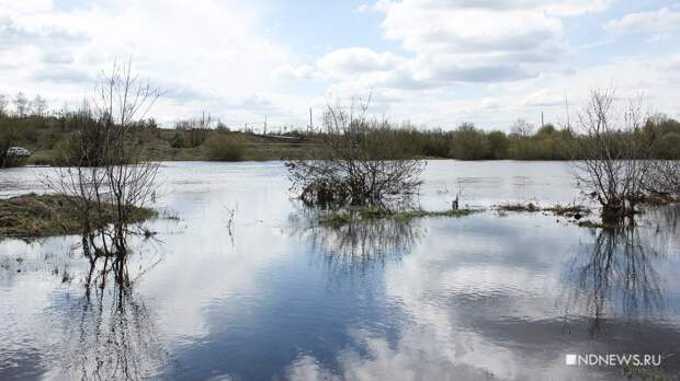 Уральские реки вскрылись раньше срока: вода прибывает по полметра в сутки