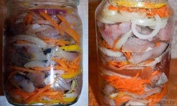 Рецепт в банке: нежная, сочная и очень вкусная селёдка по — голландски