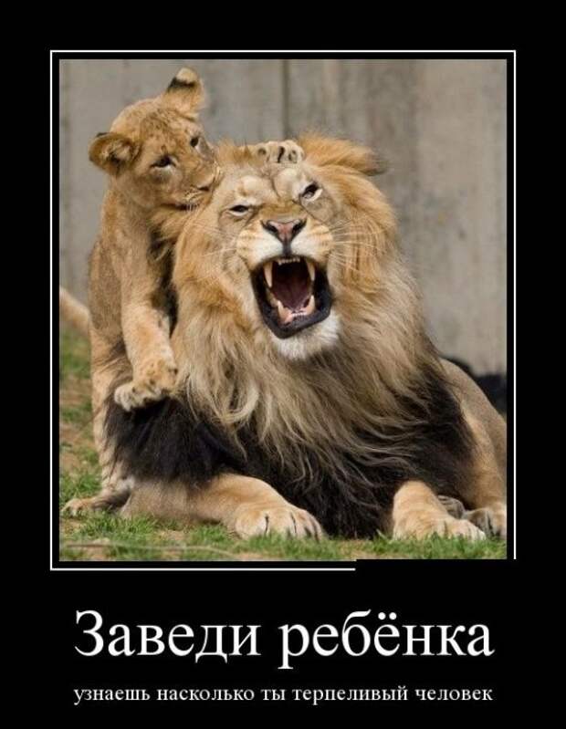 Демотиваторы (30 фото)
