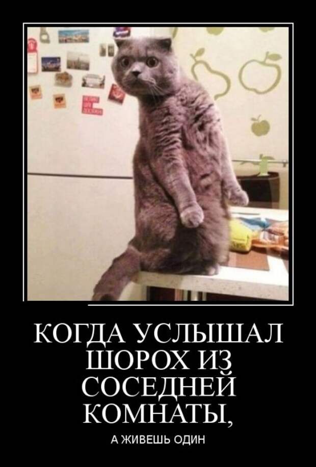 Демотиваторы (30 фото)