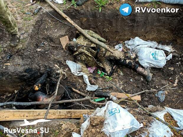 Окопы превращаются в братские могилы: 39-я бригада уничтожает пехоту ВСУ у Угледара (ВИДЕО)