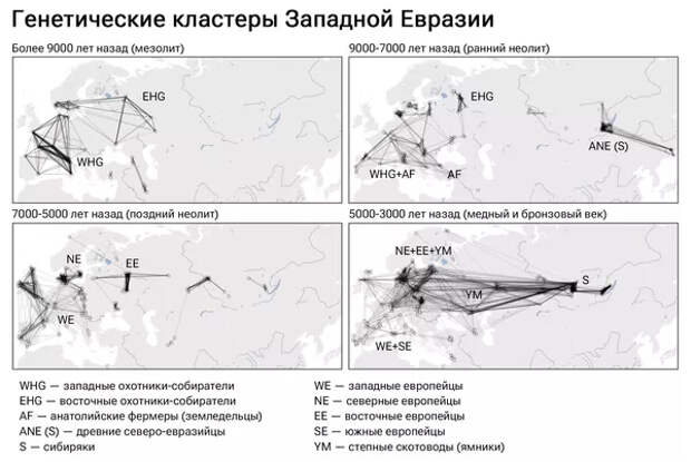 Нация мигрантов. Развеян главный миф о происхождении европейцев