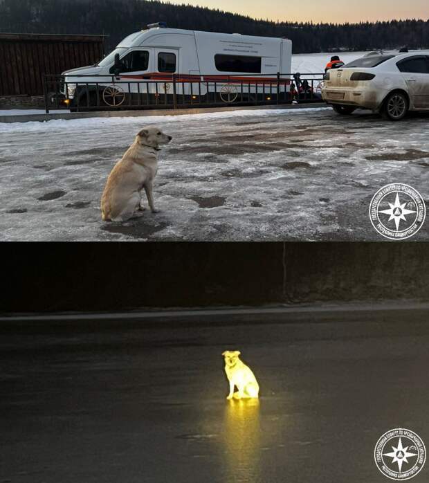 Собака несколько дней ждет хозяина, утонувшего подо льдом в Башкирии.