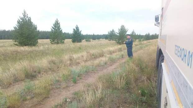 Огнеборцы не допустили переход лесного пожара из Казахстана в Алтайский край
