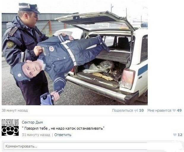 Прикольные картинки