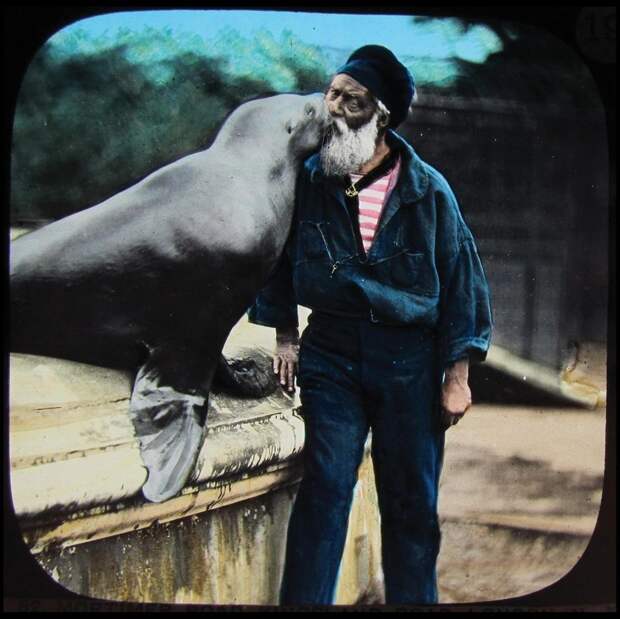 Удивительные цветные фотографии первых животных, содержащихся в лондонском зоопарке в цвете, живность, животные, зоопарк, интересно, прошлое, фото