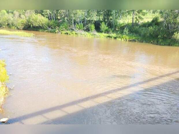 Региональный эконадзор проверил реки в Могочинском округе