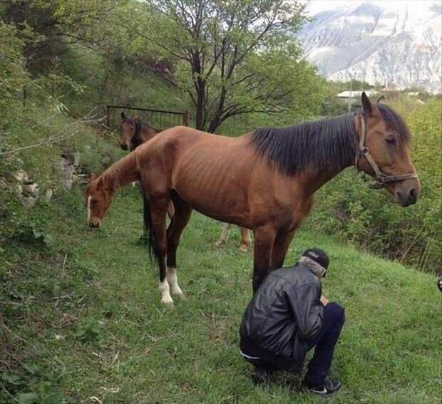 фотографии с сюрпризами, фотографии взглянуть дважды, забавные фотографии, неожиданные фотографии