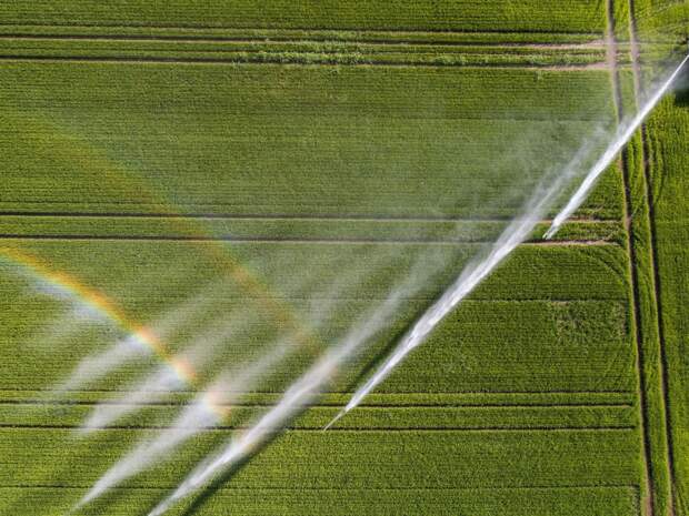 636662074180727473-EPA-epaselect-SWITZERLAND-AGIRCULTURE-RICE-CULTIVATION (1).jpg 636662074180727473-EPA-epaselect-SWITZERLAND-AGIRCULTURE-RICE-CULTIVATION (1).jpg