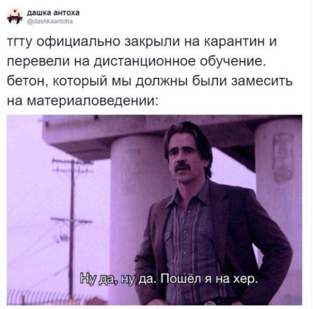 190678_10_trinixy_ru.jpg