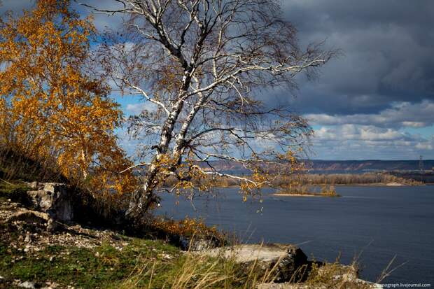 Природа Самарской области