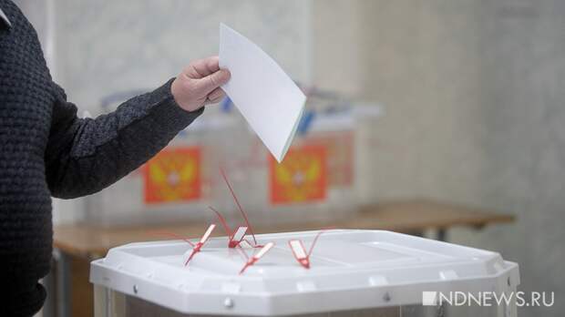 На выборы в Мосгордуму заявились 24 кандидата от «Яблока»