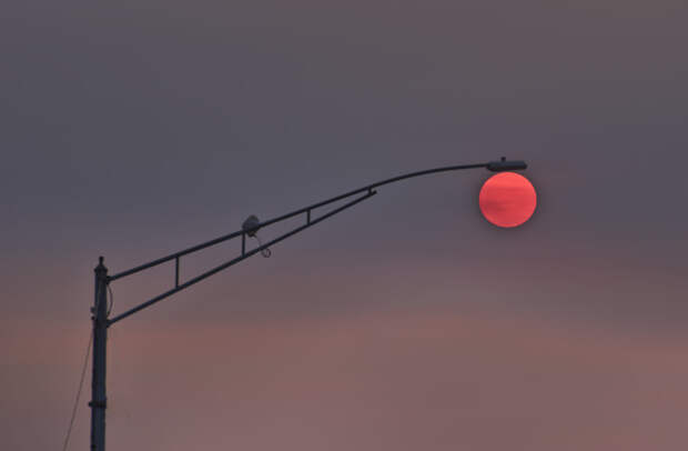 Natural Street Light by Yongcheng Li on 500px.com