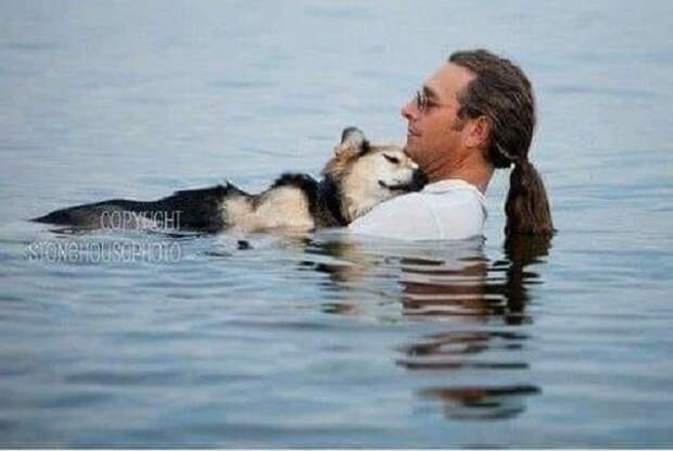 Он по нескольку часов носит своего пса в озере на руках, чтобы унять боль четвероногого друга