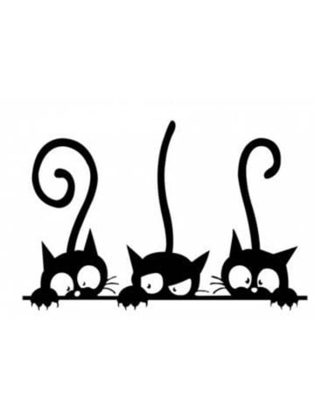 Сколько нас любителей кошек? Миллион, два, десять?-19