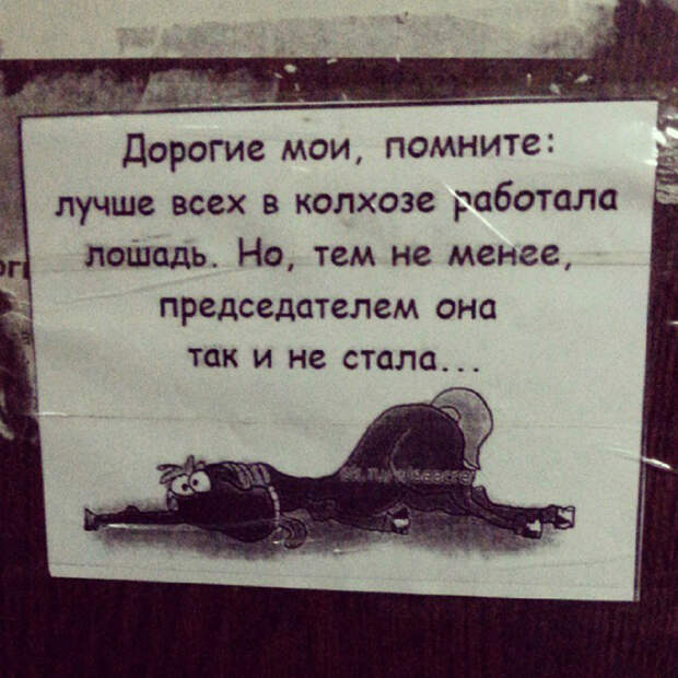 О работе. О работе.