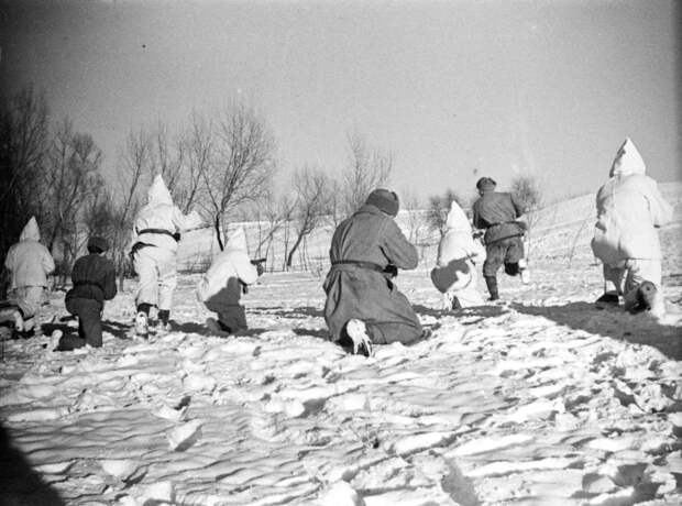 Освобожденная Европа глазами советских фотографов
