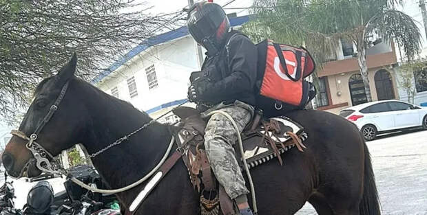 Транспорт подвел: курьер решил доставлять заказ верхом на лошади