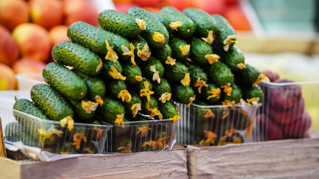 «Технология продаж»: почему огурцы догнали по цене мясные деликатесы