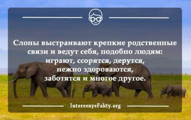 Интересные факты из жизни людей. Интересные факты жизни