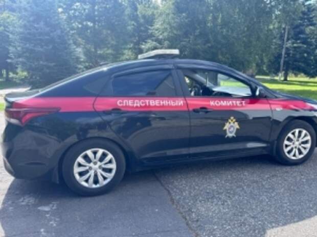 Председатель СК России затребовал доклад о расследовании противоправных действий в отношении несовершеннолетней в Московской области