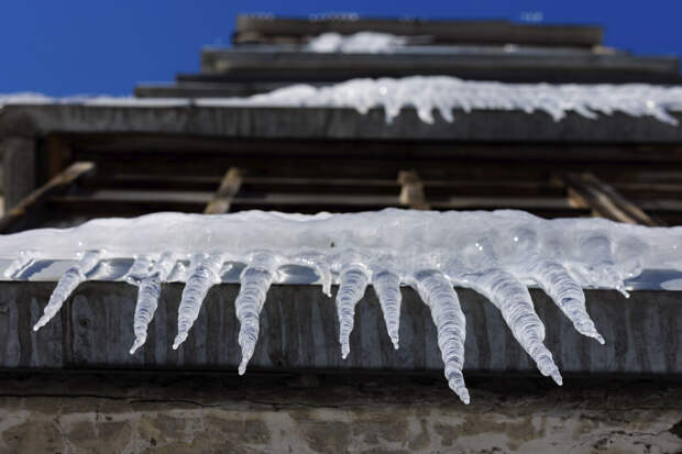 Врач Волгина: поедание снега может вызывать сильное отравление