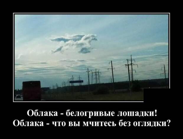 www.vsyako.net