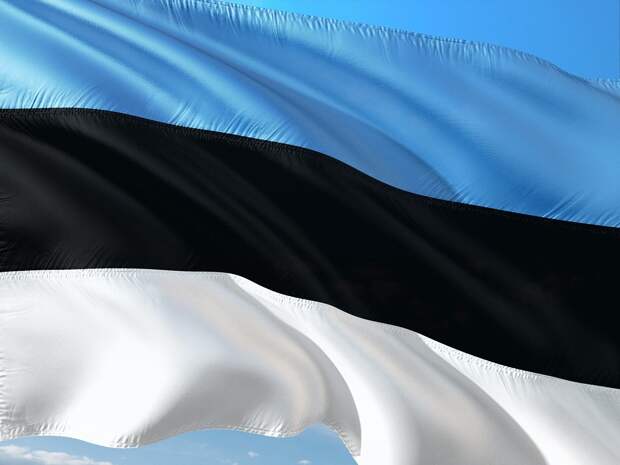 ERR: Эстония оценила убытки в случае отказа от импорта из России и Белоруссии в 860 миллионов евро
