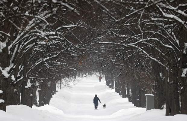 Атмосферный фронт принесет в Москву очередной снегопад