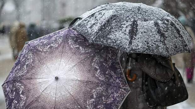 Синоптики спрогнозировали дождь, мокрый снег и до +6 градусов в Москве 7 мая