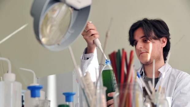 В Думе предложили сделать бесплатным образование в вузах по ряду специальностей