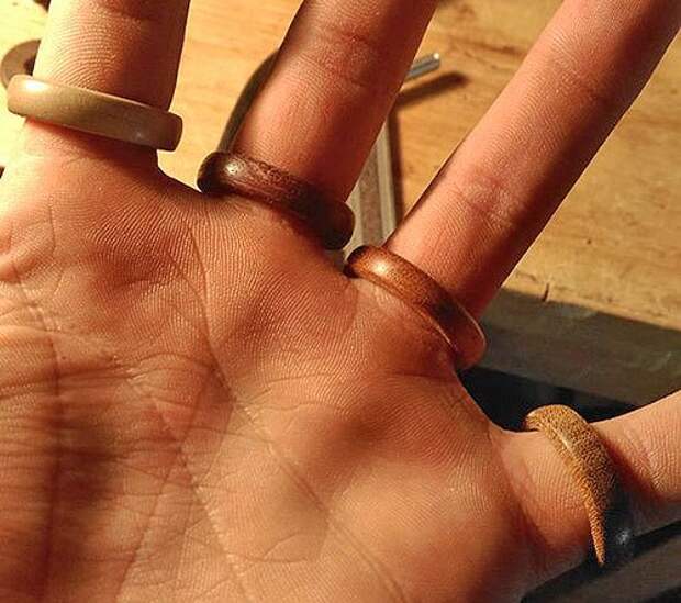 Деревянные кольца на палец своими руками