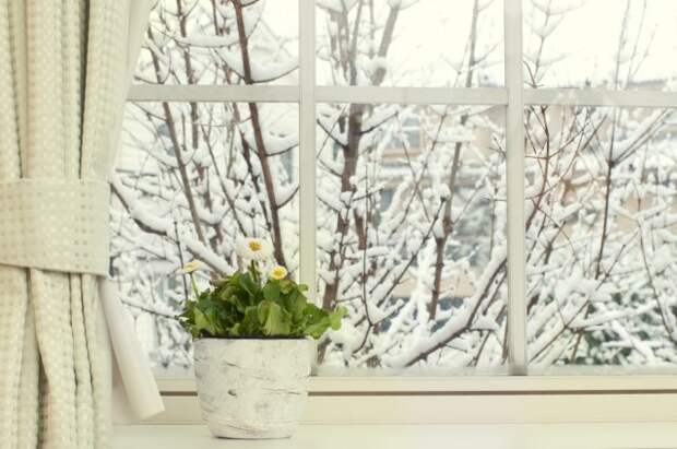 narnewsline.blogs.realtor.org Освещение растений зимой