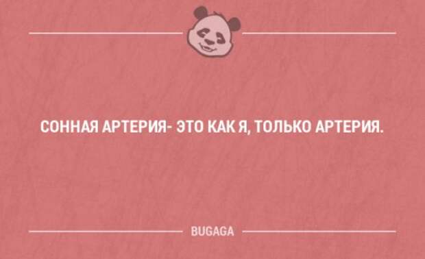Смешные высказывания и мысли в картинках с надписями. Часть 102 (20 шт)