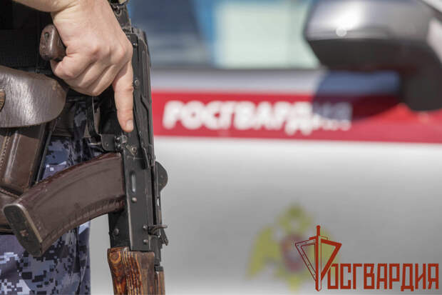 Тульская Росгвардия за неделю почти 240 раз выезжала по тревоге