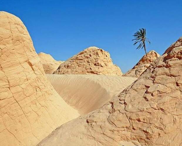 Самые жаркие точки мира, фото - Тунис