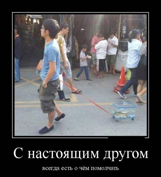 Демотиваторы (30 фото)