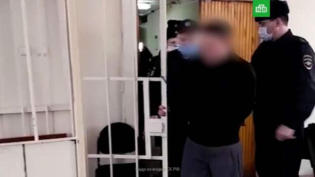 Арестован подозреваемый в убийстве женщины и троих детей в Подмосковье