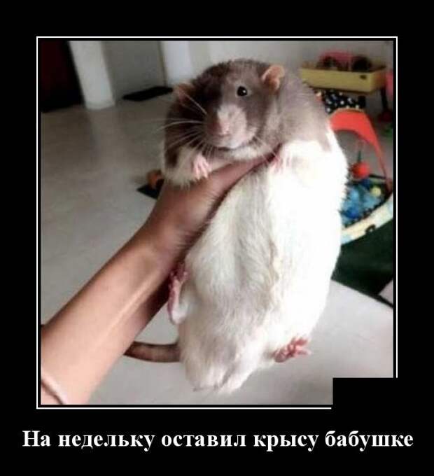www.vsyako.net